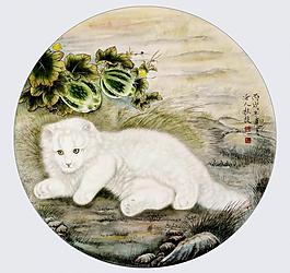 猫趣图片