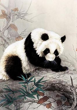 熊猫图图片