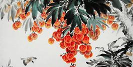 荔枝图图片
