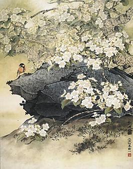 梨花春雨图片