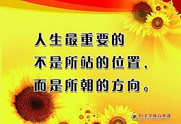 校园文化展板图片