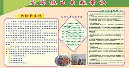火灾逃生常识展板图片
