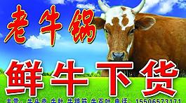 老牛锅展板图片