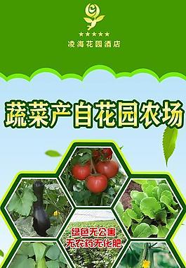 绿色食品展板图片