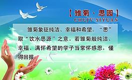 校园文化展板图片