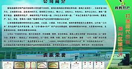 公司简介展板图片