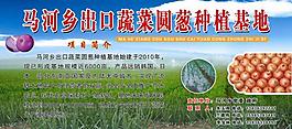 蔬菜基地展板图片