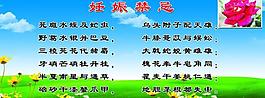 妊娠禁忌展板图片