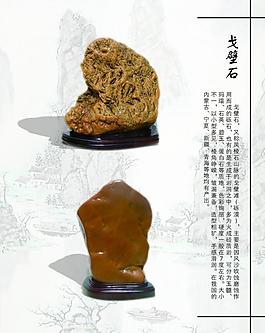 x展架宣傳 奇石圖片奇石展板圖片絕美花鳥奇石圖片奇石 小雞 石頭