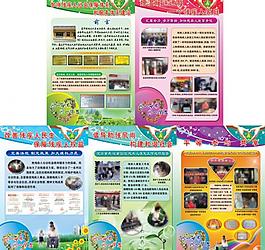 残联展板图片
