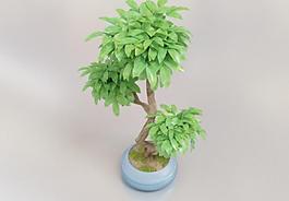 绿植图片