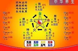 中华养生展板图片