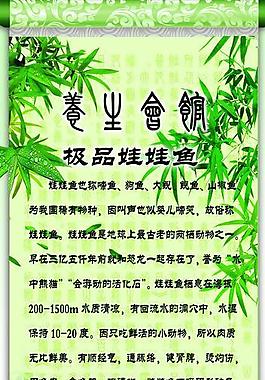 娃娃鱼 展板图片