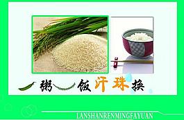 节约粮食展板图片