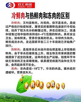 双汇展板海报图片