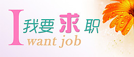 我要求职