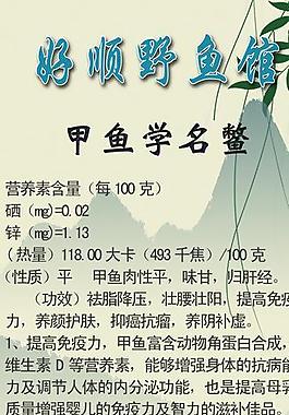 甲鱼展板图片