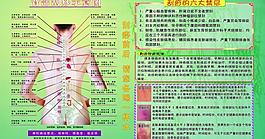 人体经络图图片