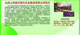 公司简介展板图片