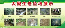 娃娃鱼展板图片