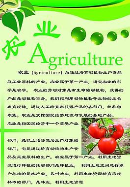 农业展板图片