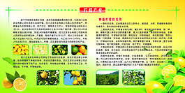 柠檬种殖业