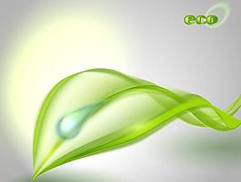 绿叶图标图片