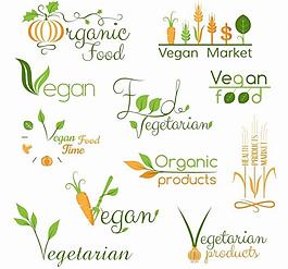 绿色蔬菜素材图片