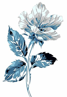 牡丹花卉素材