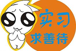 新手 实习图片