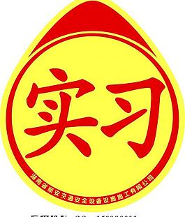 开车 实习生图片