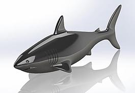 shark!