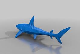 shark