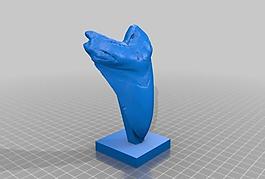 giant prehistoric shark tooth!