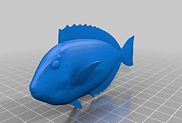 fish from the toucan virtual museum