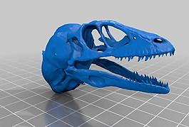 dinosaur skull w/ neck
