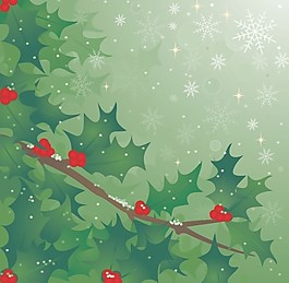 一款非常漂亮的冬青树矢量素材