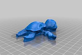 turtle - 123dcatch