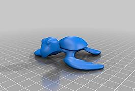 sea turtle facing right