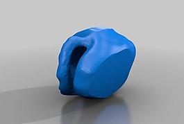 empty turtle shell