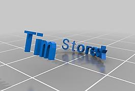 tim s inscription ring