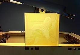 so many lithopanes...