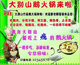 鹅火锅图片