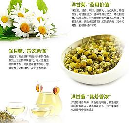 花茶淘宝页图片