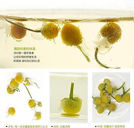 花茶淘宝页图片