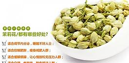 花茶淘宝页图片