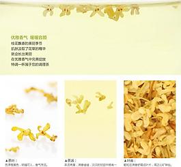 花茶淘宝页图片