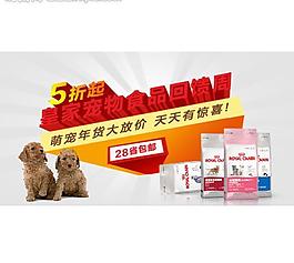 淘宝 钻展 猫粮 狗图片