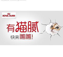 淘宝 钻展 猫粮 狗图片