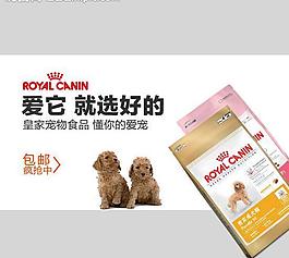 淘宝 钻展 猫粮 狗图片